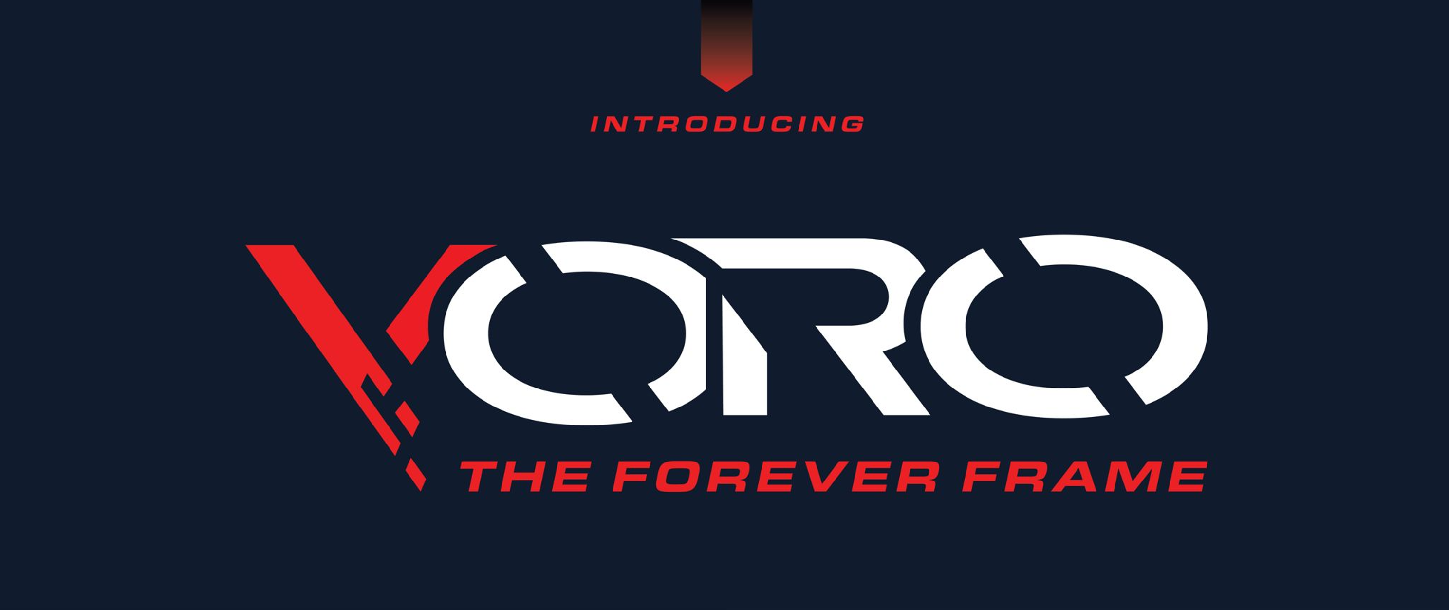 VORO — The Forever Frame